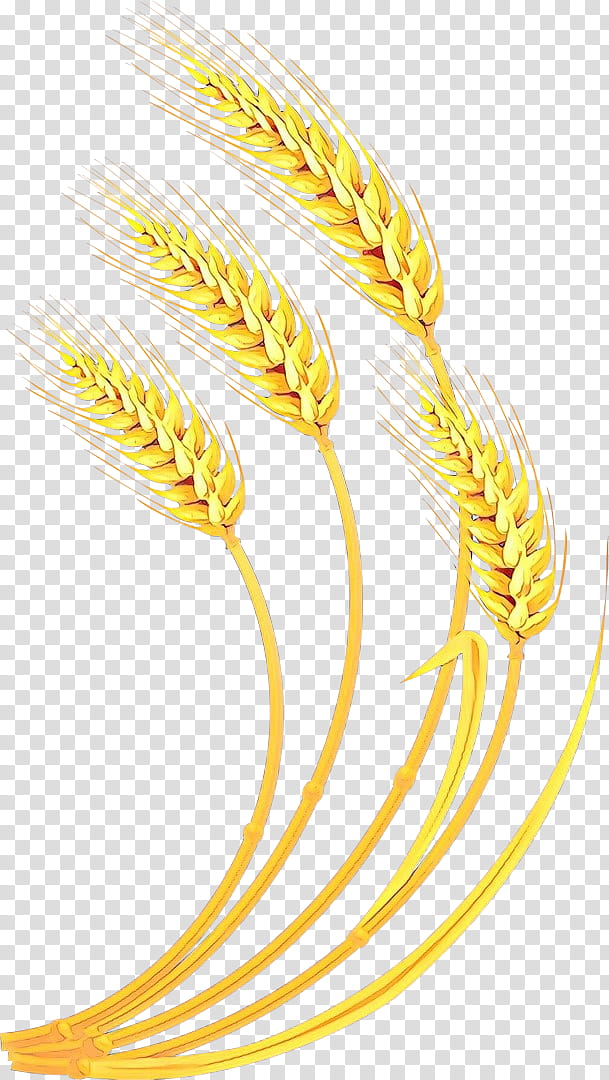 Wheat, Cartoon, Yellow, Line, Grass Family, Food Grain, Plant transparent background PNG clipart