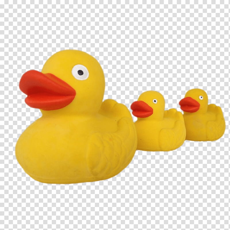 schylling rubber duck