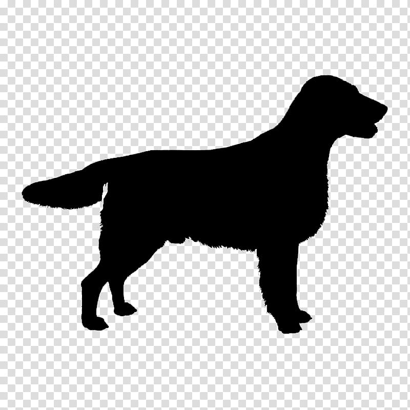 Golden Retriever, English Springer Spaniel, English Cocker Spaniel, Dachshund, Welsh Springer Spaniel, Jack Russell Terrier, Dog, Sporting Group transparent background PNG clipart