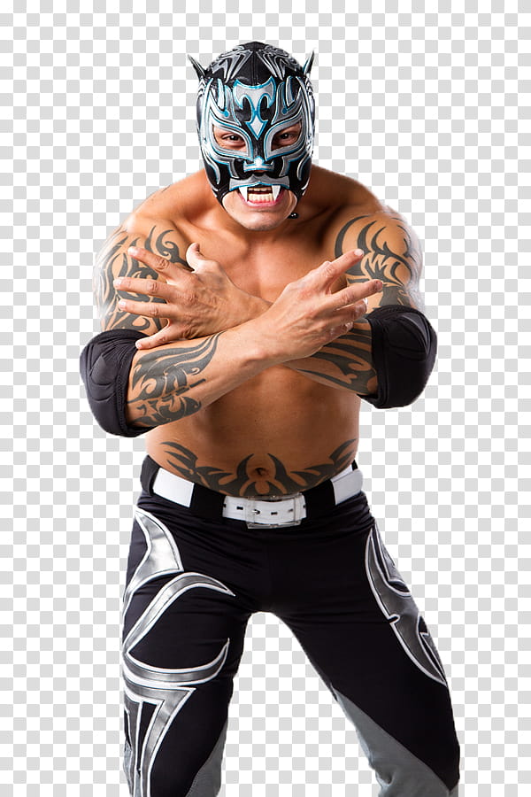 Tigre Uno TNA Render transparent background PNG clipart