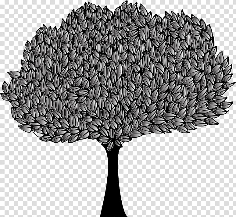 Banyan Tree, Great Banyan, Weeping Fig, Sacred Fig, Drawing, Fig Trees, Plant, Woody Plant transparent background PNG clipart