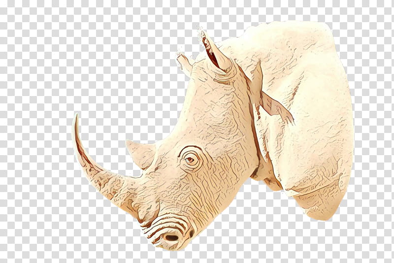 Fauna Rhinoceros, Cartoon, Snout, Black Rhinoceros, Horn, White Rhinoceros, Wildlife transparent background PNG clipart