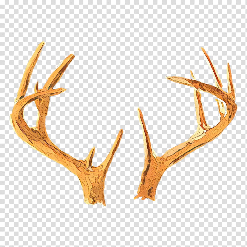 antler horn elk deer fawn, Cartoon, Natural Material transparent background PNG clipart