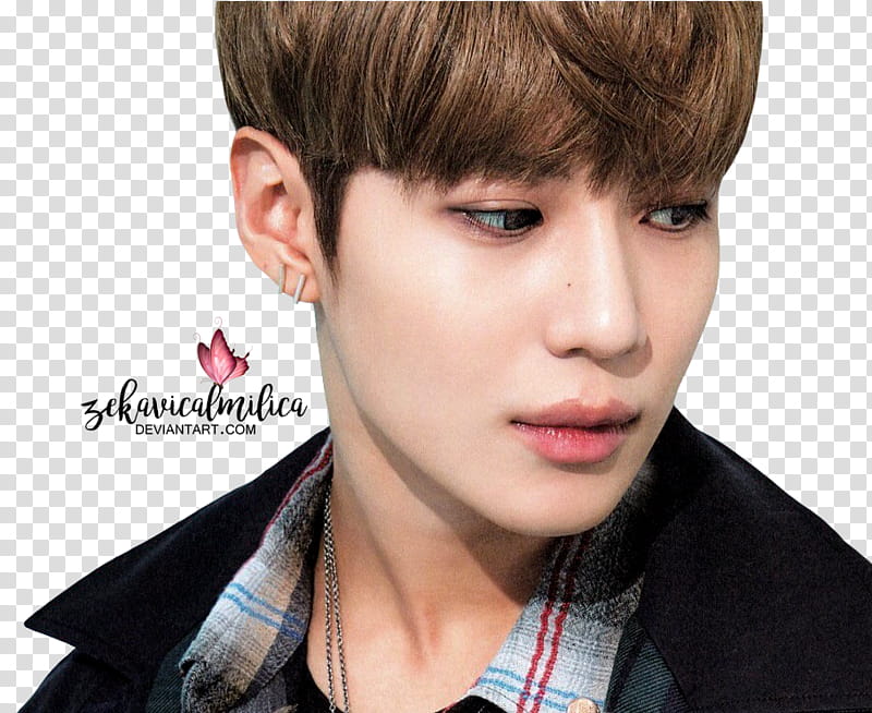 SHINee Taemin  Season Greetings transparent background PNG clipart