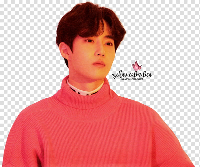 EXO Suho  Season Greetings, man wearing pink sweater transparent background PNG clipart