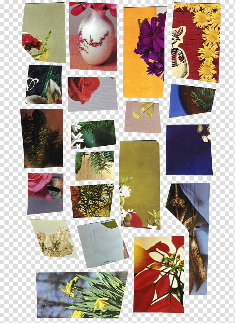 SET Postcards part, assorted-color flowers collage transparent background PNG clipart