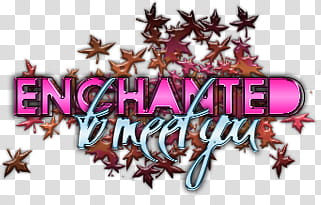 s, Enchanted to meet you text transparent background PNG clipart