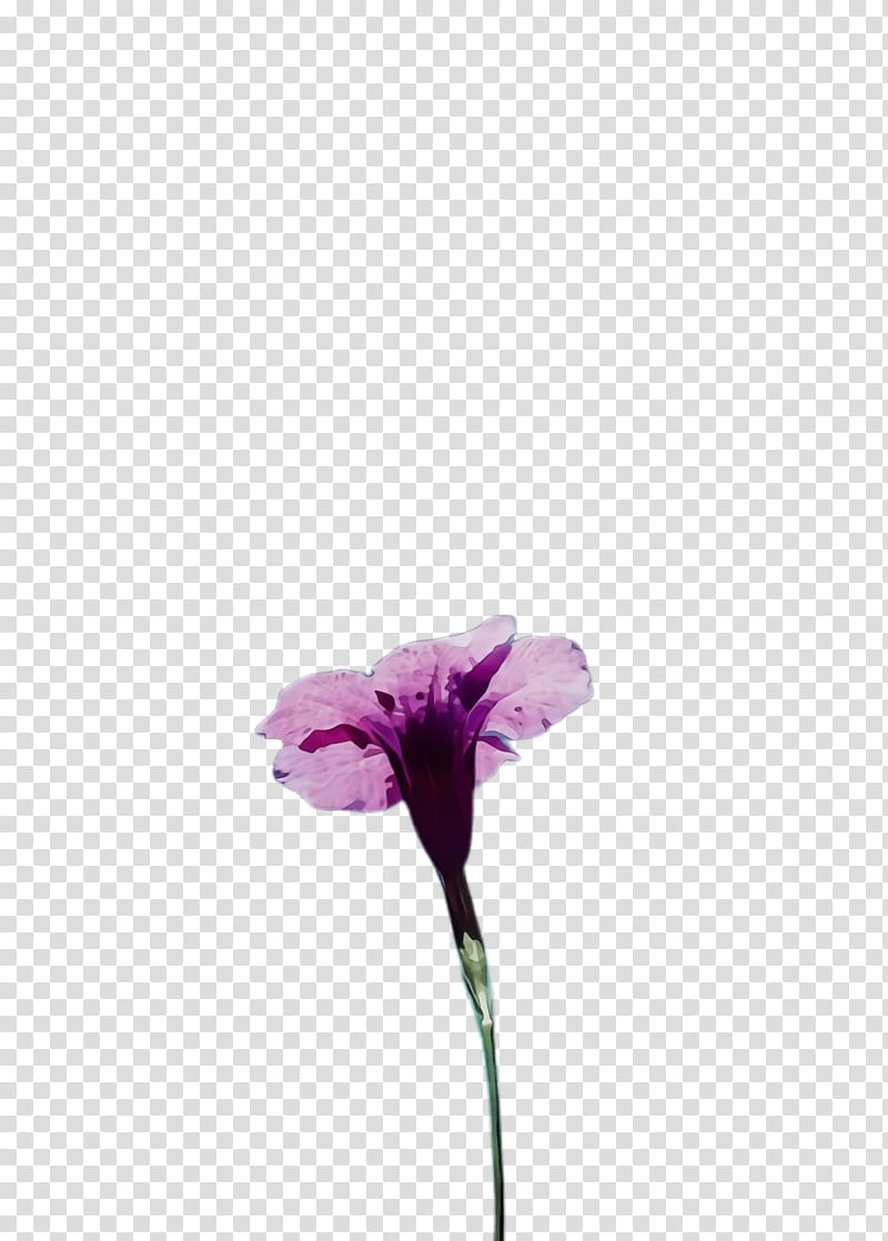 flower flowering plant purple violet plant, Watercolor, Paint, Wet Ink, Petal, Pink, Sweet Pea, Iris transparent background PNG clipart