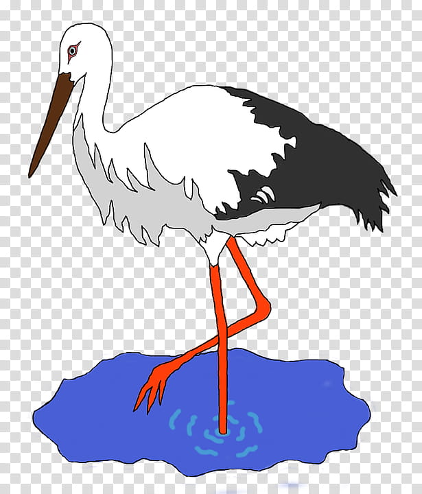 Crane Bird, Heron, White Stork, Great Egret, Redcrowned Crane, Great Blue Heron, Water Bird, Ciconiiformes transparent background PNG clipart