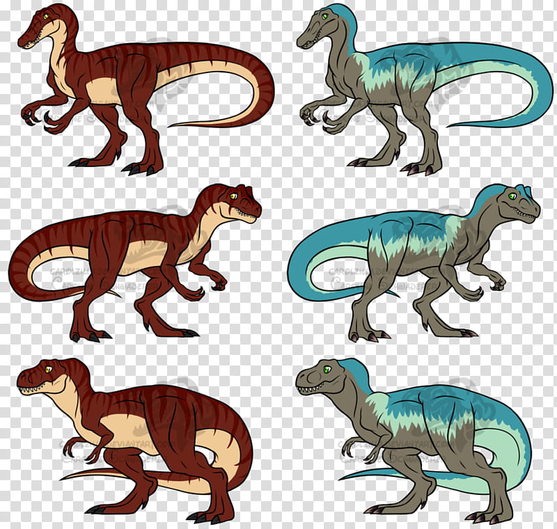 Cat Drawing, Tyrannosaurus, Velociraptor, Allosaurus, Giganotosaurus, Dinosaur, Torvosaurus, Artist transparent background PNG clipart