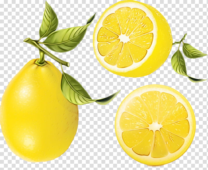 natural foods citrus persian lime lemon fruit, Watercolor, Paint, Wet Ink, Meyer Lemon, Lemonlime, Sweet Lemon, Yellow transparent background PNG clipart