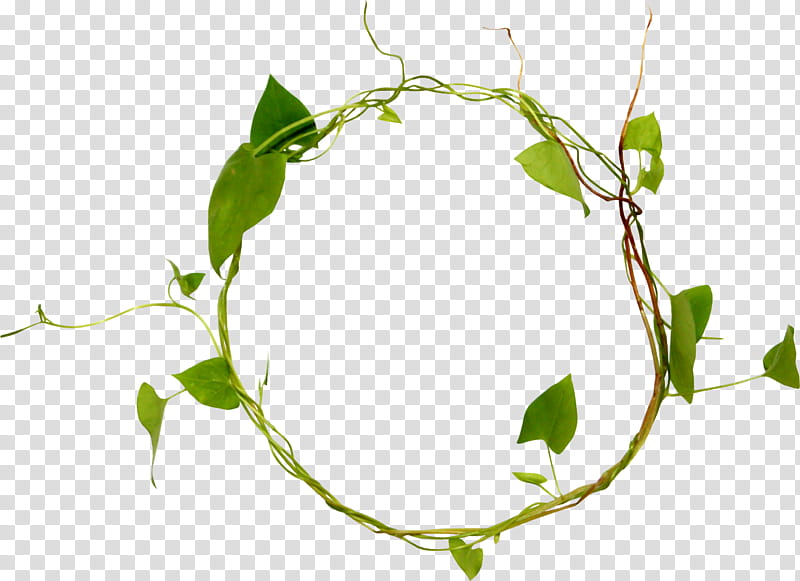 Leaf Circle, Twig, Branch, Data Compression, Disk, Plant Stem, Drawing, Flora transparent background PNG clipart