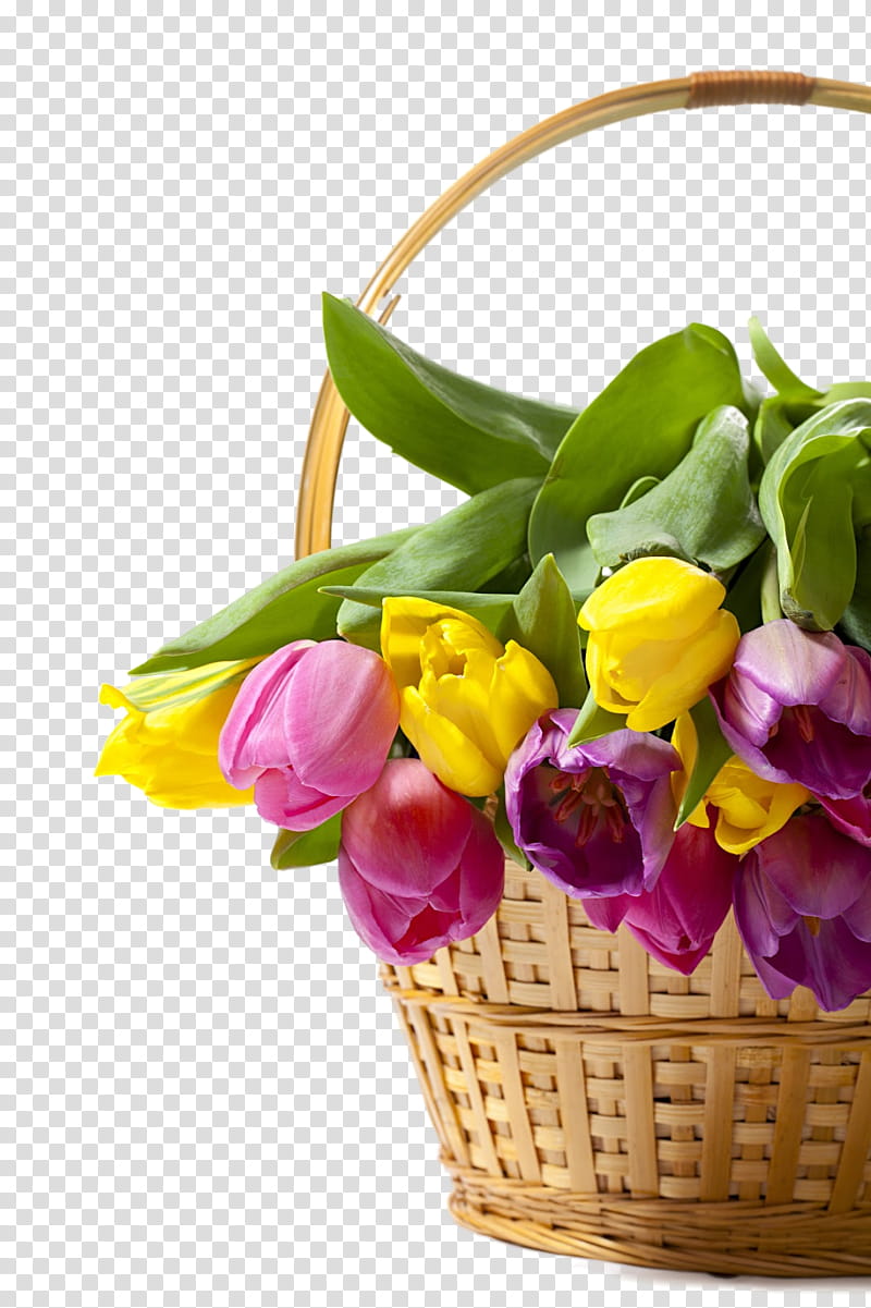 Lily Flower, Tulip, Floral Design, Cut Flowers, Flower Bouquet, Flowerpot, Herbaceous Plant, Plants, Family M Invest Doo transparent background PNG clipart