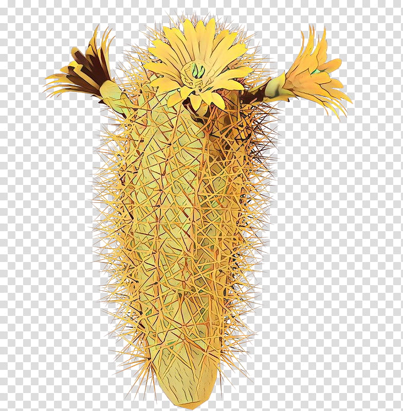 Cactus, Cartoon, Flower, Plant, Yellow, Hedgehog Cactus transparent background PNG clipart