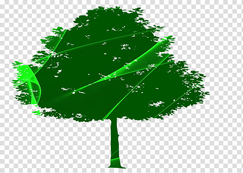Green Day Logo, Tree, Deciduous, Leaf, Sweetgum, Trunk, Oak, Broadleaved Tree transparent background PNG clipart