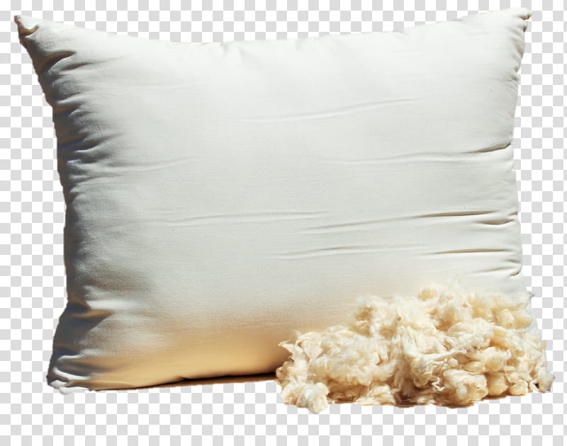 White Tree, Pillow, Throw Pillows, Cushion, Kapok Tree, Mattress, Bed, Bedding transparent background PNG clipart