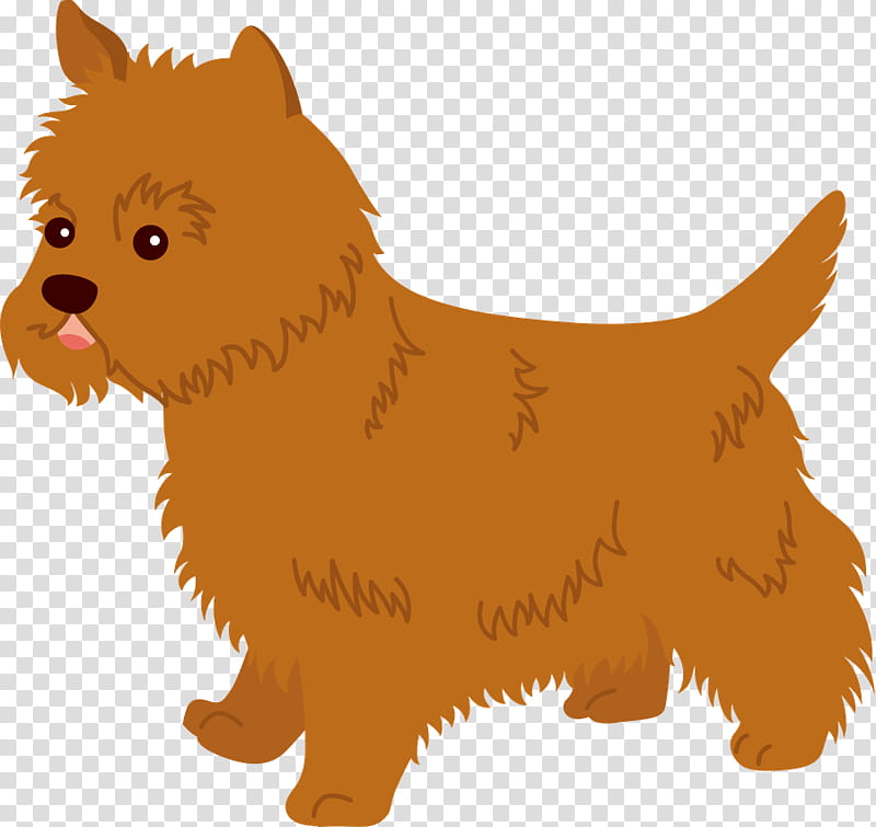 Tangled, Norwich Terrier, Cairn Terrier, Australian Terrier, Norfolk Terrier, Wizard Of Oz, Puppy, Fairy Tale transparent background PNG clipart