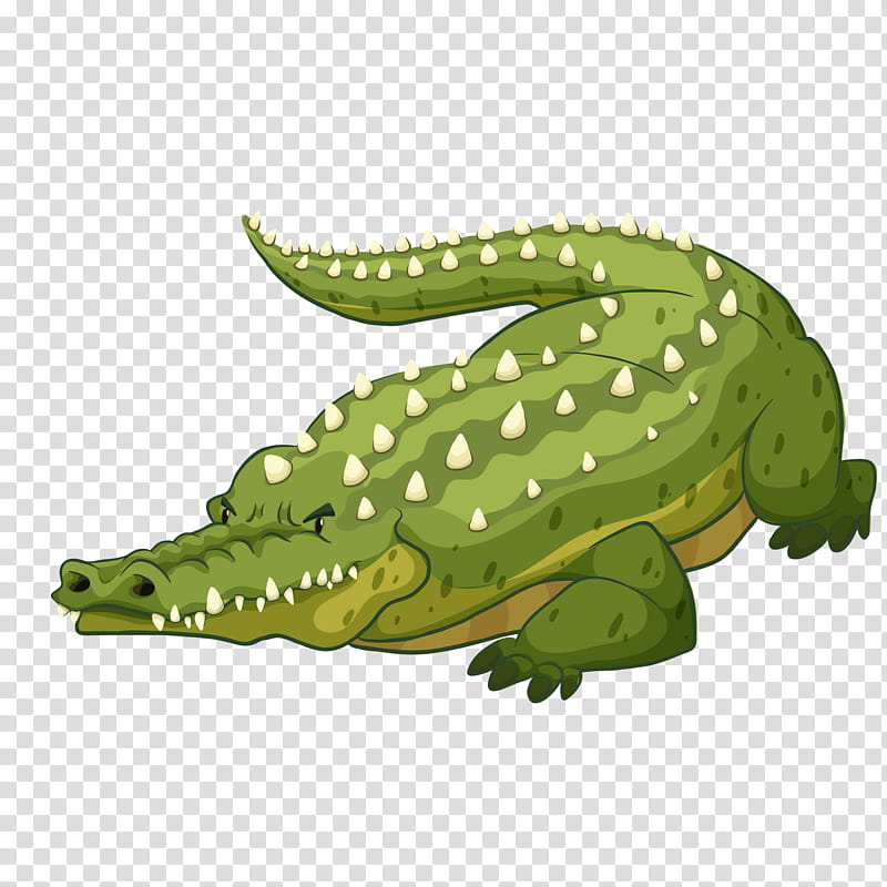 Crocodile, Alligators, Drawing, Reptile, Crocodilia transparent background PNG clipart