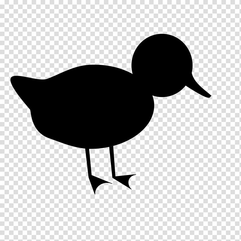 Bird Silhouette, Duck, Black, Purple, Beak, Water Bird, Ducks Geese And Swans, Goose transparent background PNG clipart