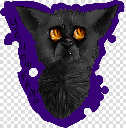 Cat, Black Cat, Whiskers, Paw, Cartoon, Claw, Snout, Purple transparent background PNG clipart