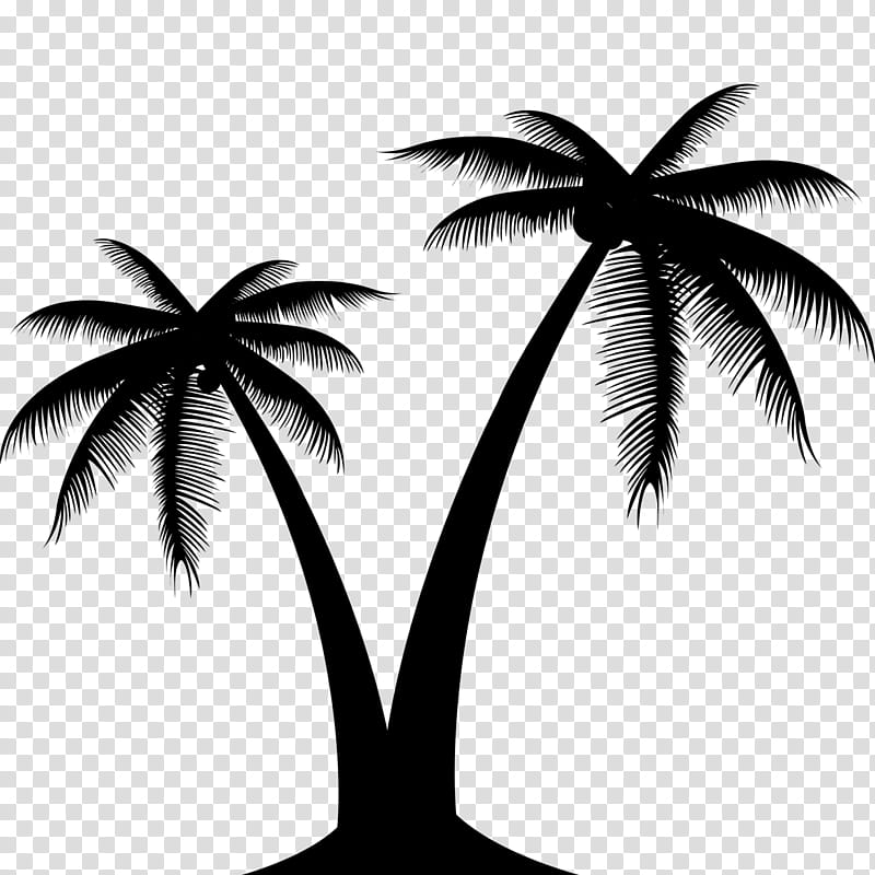 Coconut Tree Drawing, Palm Trees, Blackandwhite, Arecales, Leaf, Woody ...