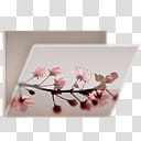 Glossy Garden Folders, white and red floral box transparent background PNG clipart