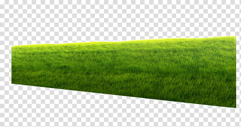 Green Grass, Lawn, Artificial Turf, Meadow, Living Room, Childrens Room, Color, Banjado transparent background PNG clipart