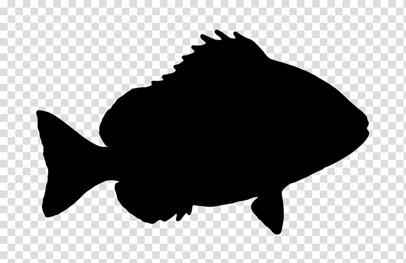 fish fish silhouette flatfish bony-fish, Bonyfish, Rayfinned Fish transparent background PNG clipart
