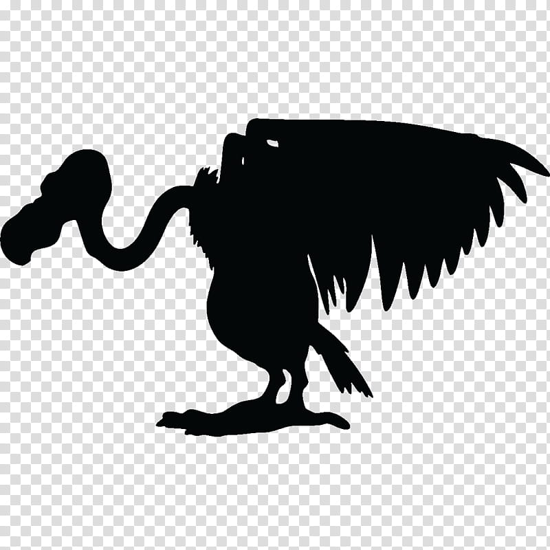 Turkey, Turkey Vulture, Bird, Sticker, Common Buzzard, Decal, Wall Decal, Black Vulture transparent background PNG clipart