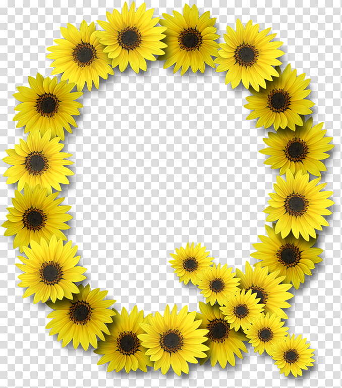 Flower Alphabet, Letter, Letter Case, Common Sunflower, G, Q, Z, Daisy Family transparent background PNG clipart