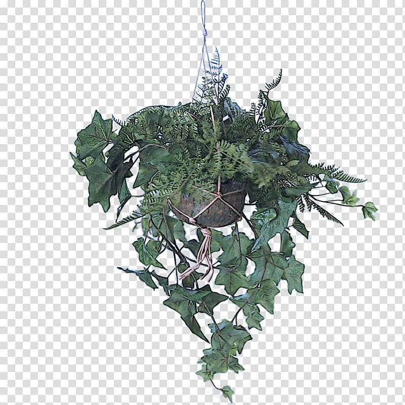 Christmas decoration, Leaf, Plant, Flower, Ivy, Branch, Holly, Tree transparent background PNG clipart