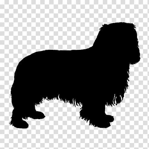 Cartoon Dog, Sheltie, Rough Collie, Pomeranian, Old English Sheepdog, Decal, Pet, Sticker transparent background PNG clipart