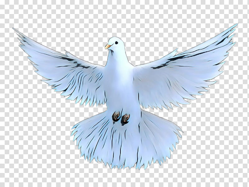 Dove Bird, Pigeons And Doves, Feather, Computer, Microsoft Azure, Beak, Seabird, Sky transparent background PNG clipart