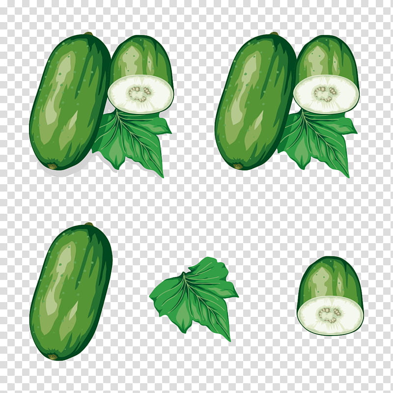 Winter, Tea, Flowering Tea, Vegetable, Wax Gourd, Winter Melon Punch, Zucchini, Cucumber transparent background PNG clipart