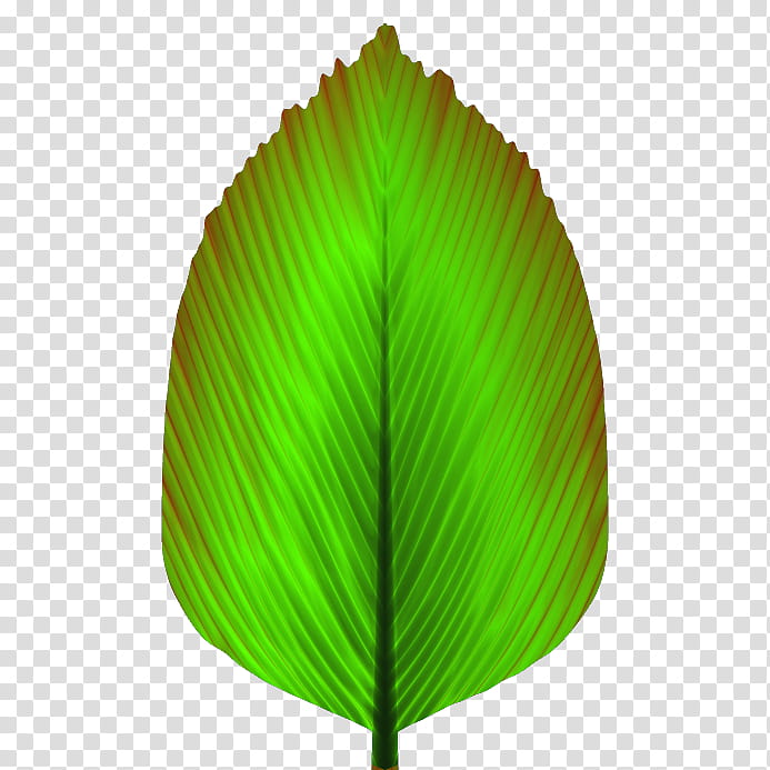 Lots A Leaves , green leaf illustration transparent background PNG clipart