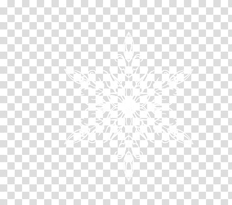 white snow flakes, white floral art transparent background PNG clipart