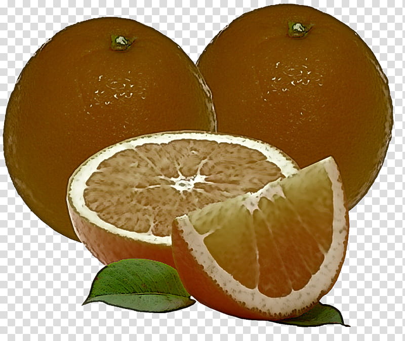 Orange, Citrus, Fruit, Mandarin Orange, Rangpur, Valencia Orange, Grapefruit, Bitter Orange transparent background PNG clipart