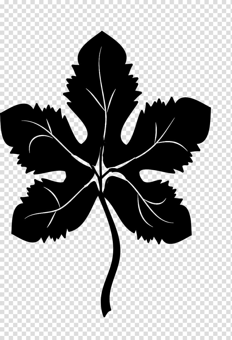 leaf, black leaf icon transparent background PNG clipart