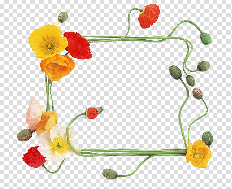 Flower Borders, BORDERS AND FRAMES, Orgel Sound Jpop, Frames, We Are, Plant, Wildflower transparent background PNG clipart
