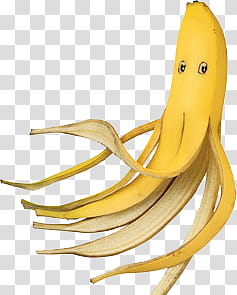 YELLOW, banana fruit graphic transparent background PNG clipart