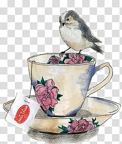 various VII, white and black bird on teacup illustration transparent background PNG clipart