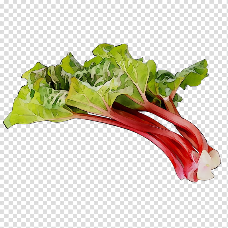 Vegetables, Iranian Cuisine, Garden Rhubarb, Khoresh, Food, Sharbat, Jam, Cooking transparent background PNG clipart