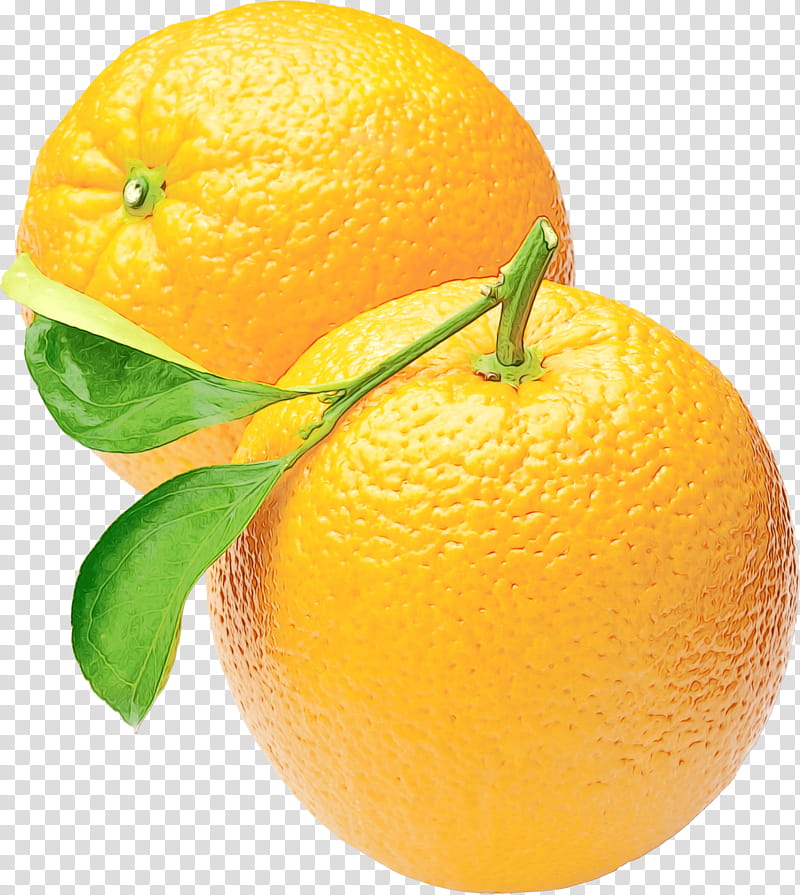 Lemon, Orange, Food, Lime, Fruit, Citrus, Lemonlime, Valencia Orange transparent background PNG clipart