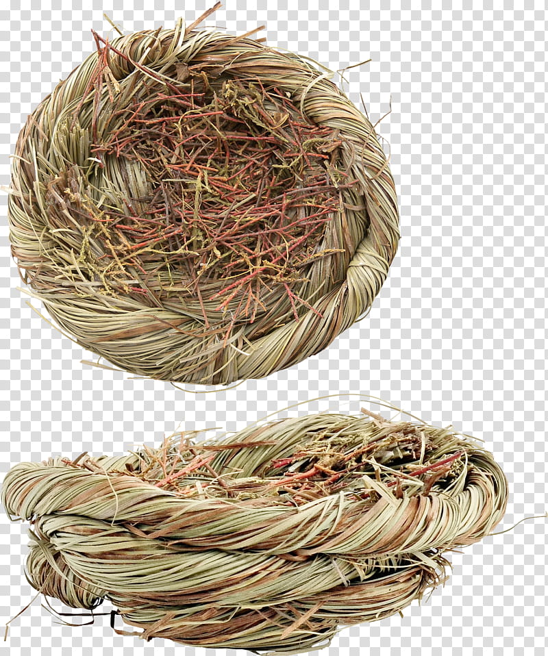 Straw, Bird, Bird Nest, Drawing, Egg, Animal, Commodity transparent background PNG clipart
