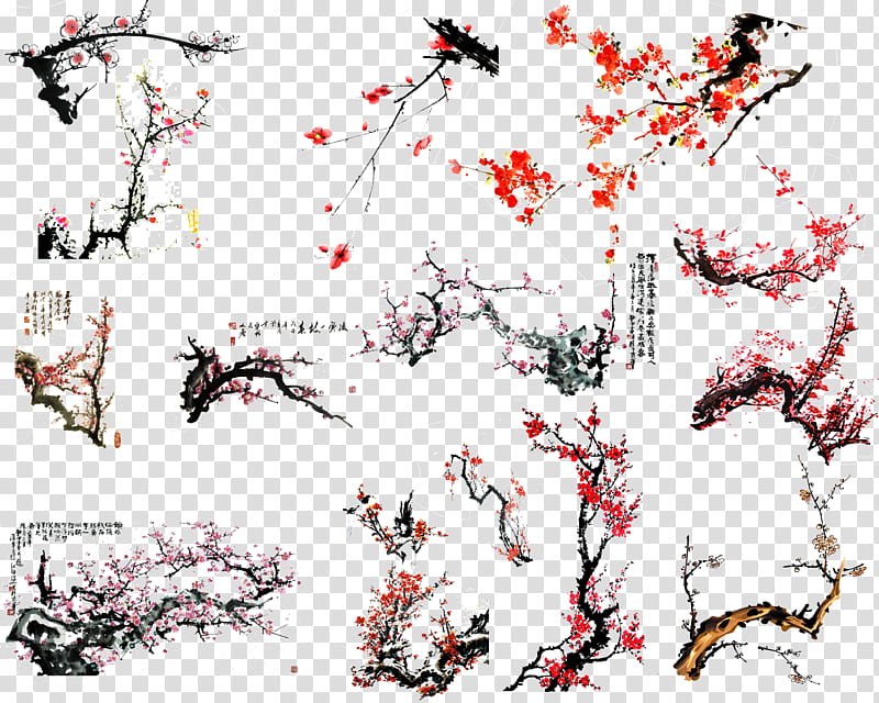 Cherry Blossom Tree, Stau150 Minvuncnr Ad, Twig, Cherries, Creative Work, Flower, Branch, Woody Plant transparent background PNG clipart