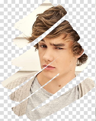 one direction , men's gray cardigan transparent background PNG clipart