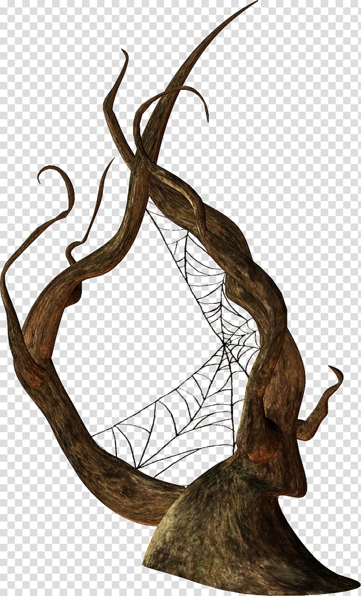 Spider Web, Twig, Message, Friendship, Branch, Antler, Horn, Plant transparent background PNG clipart