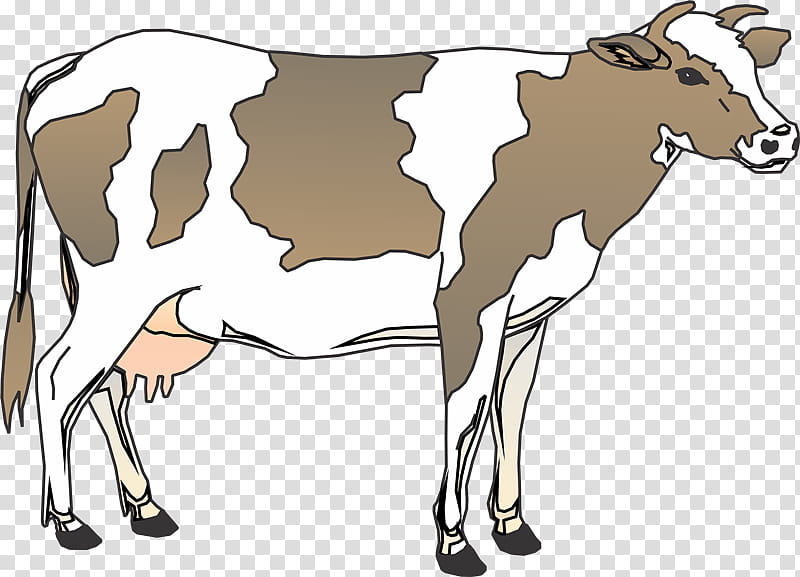 Cow, Cattle, Live, Dairy, Dairy Cattle, Farm, Bovine, Dairy Cow transparent background PNG clipart