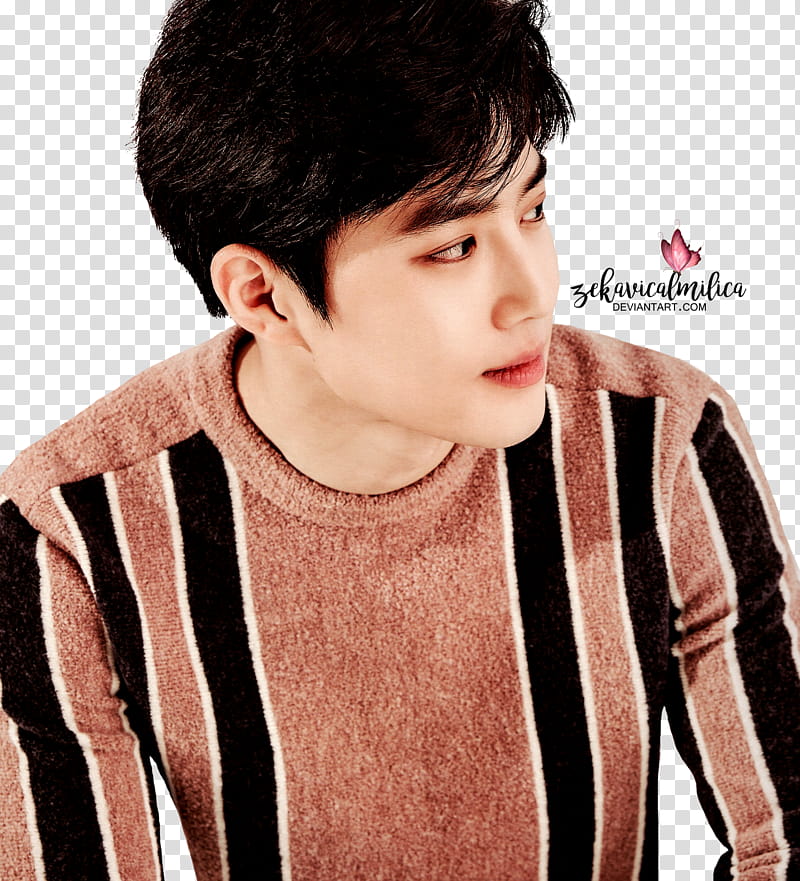 EXO Suho  Season Greetings transparent background PNG clipart