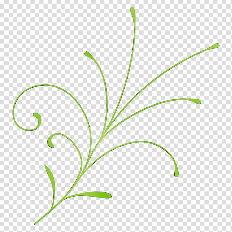 leaf green plant grass flower, Watercolor, Paint, Wet Ink, Grass Family, Plant Stem, Pedicel, Flowering Plant transparent background PNG clipart